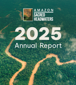 cover anual report